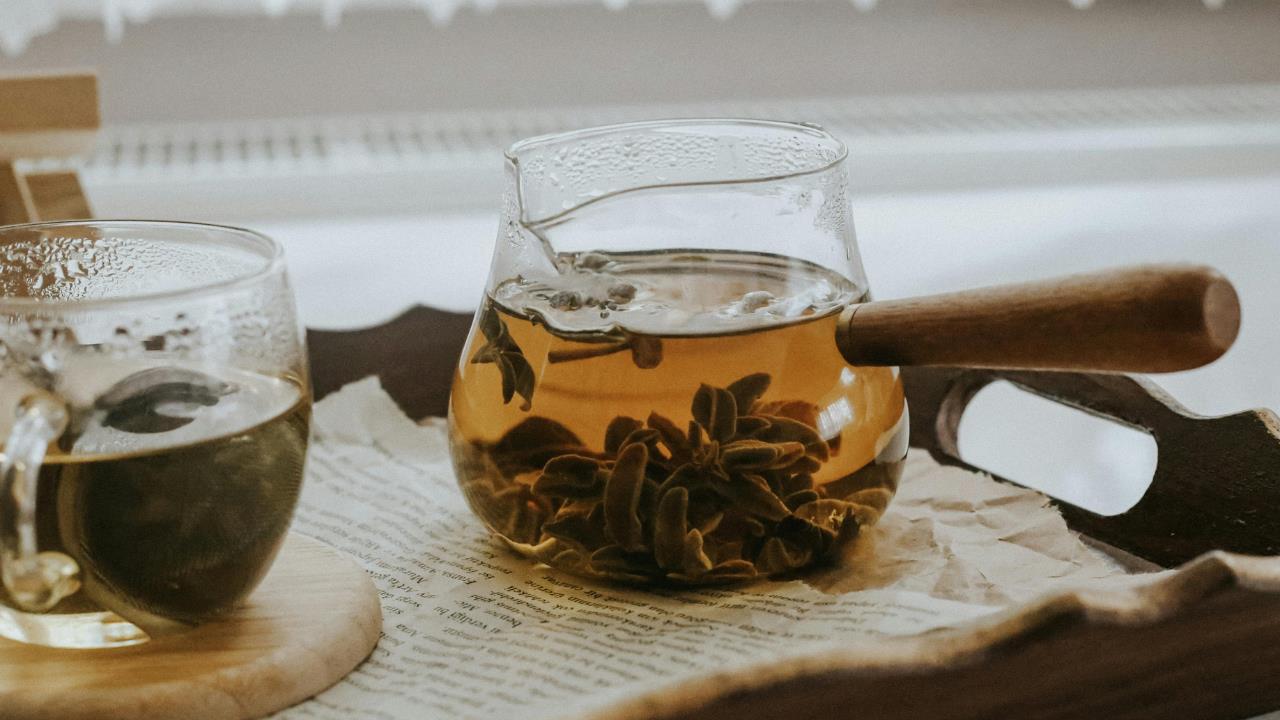 Prepara tus infusiones favoritas con plantas medicinales y aprovecha sus beneficios